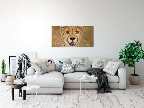 shutterstock_1643488117C3UyDaE0Dn3X3_1280x1280.jpg