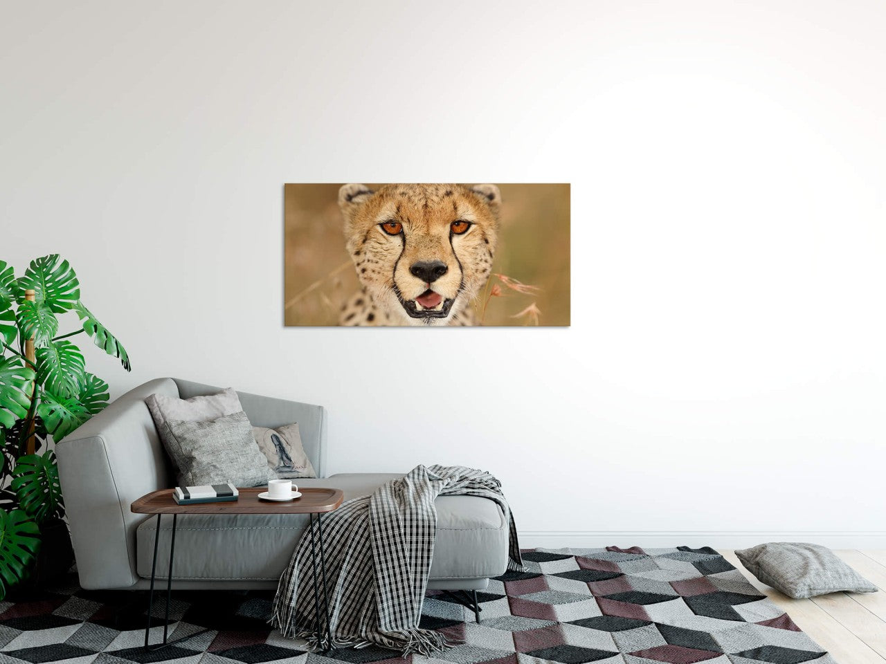 shutterstock_1643488117Hxp93BpXlbEaX_1280x1280.jpg