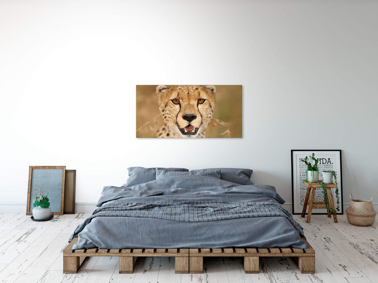 shutterstock_1643488117nIPjg7ASkQCOu_1280x1280.jpg