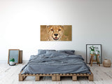 shutterstock_1643488117xAkdxAX3fkoKP_1280x1280.jpg