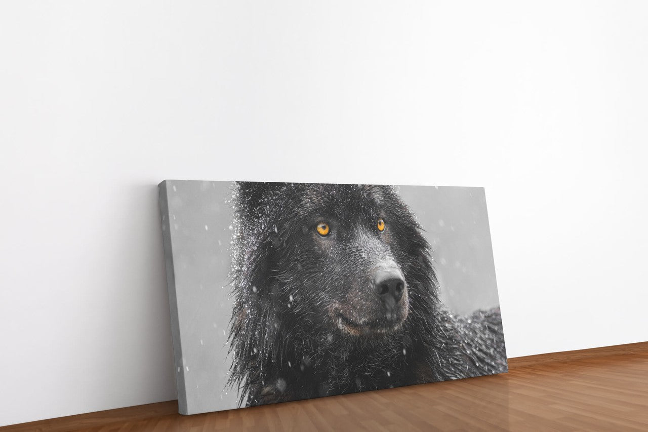 shutterstock_16457575120cWjXOLBuQ4Ec_1280x1280.jpg