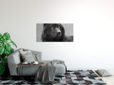 shutterstock_1645757512CJSlBnK1cheTE_1280x1280.jpg