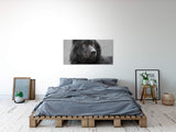shutterstock_1645757512DyMbGnSeedAxe_1280x1280.jpg