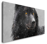 shutterstock_1645757512L511Cj5FpZrIg_1280x1280.jpg