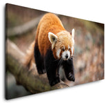 shutterstock_16576764315x1N887S0KLK8_1280x1280.jpg