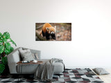 shutterstock_1657676431TqKBBjMQFqviW_1280x1280.jpg