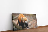 shutterstock_1657676431UjKFyZsREsqgG_1280x1280.jpg