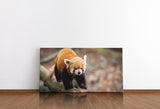 shutterstock_1657676431rUzjH07tyRJSP_1280x1280.jpg