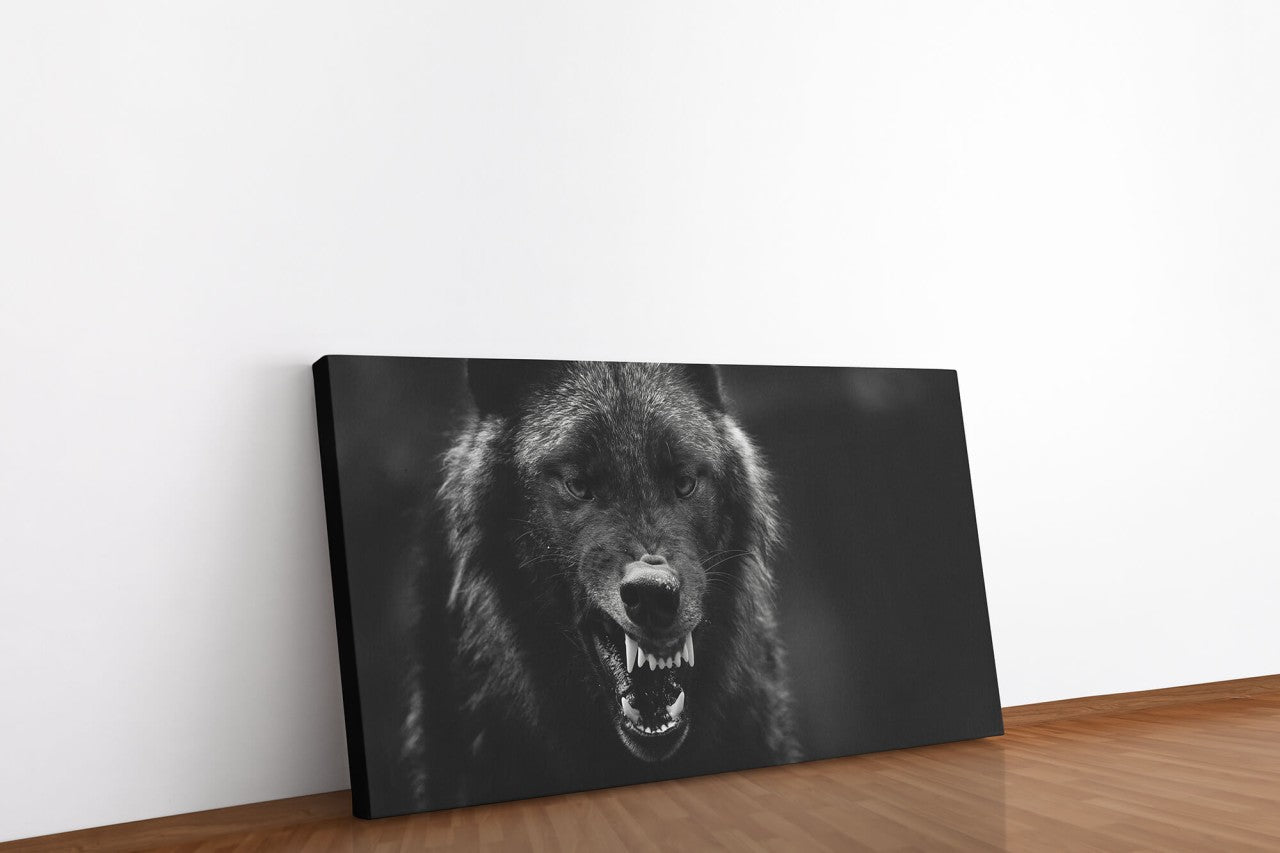 shutterstock_1662815575uUFl7rmOnZVYA_1280x1280.jpg