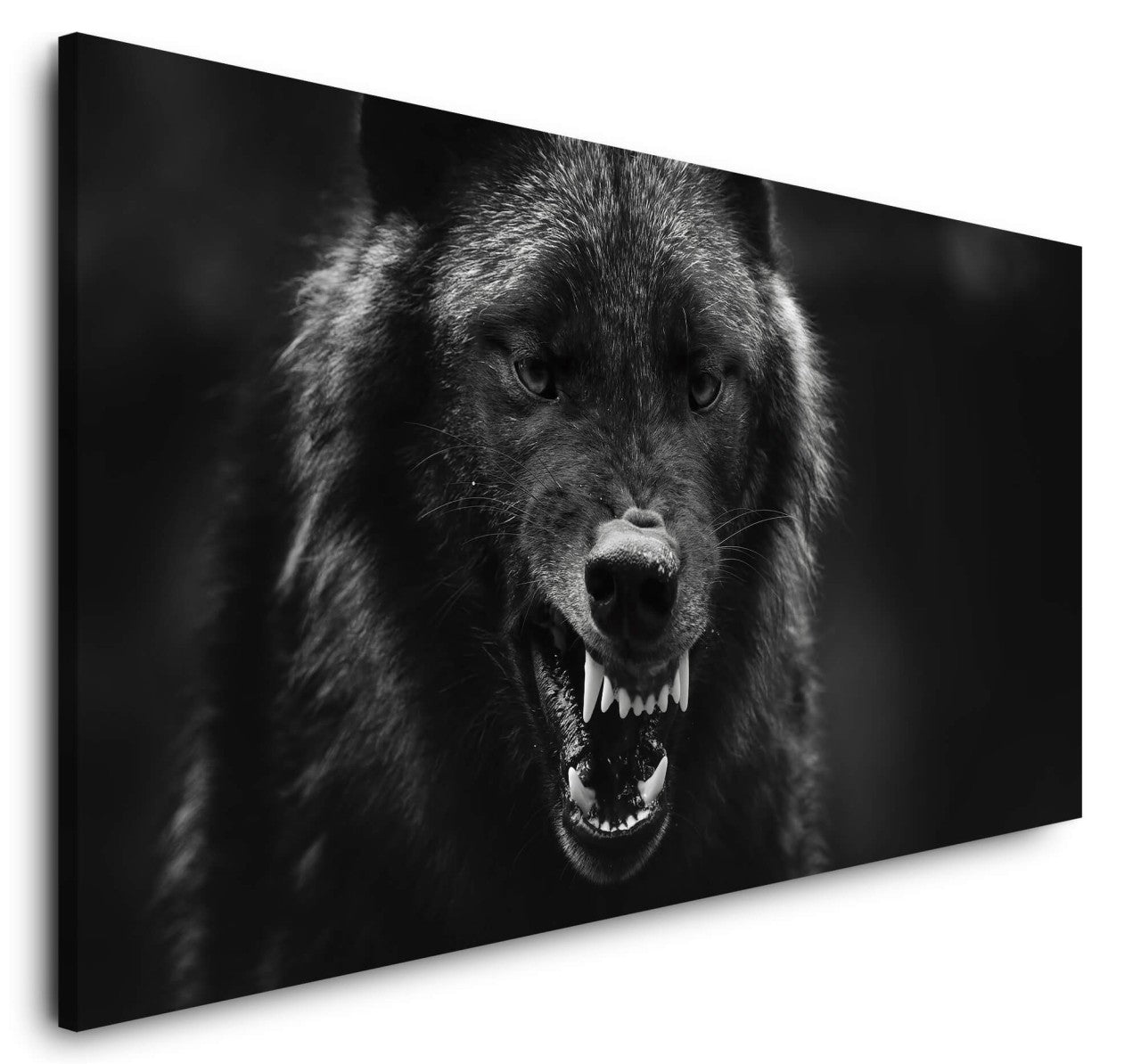 shutterstock_1662815575x0RhrGmGgRKqS_1280x1280.jpg