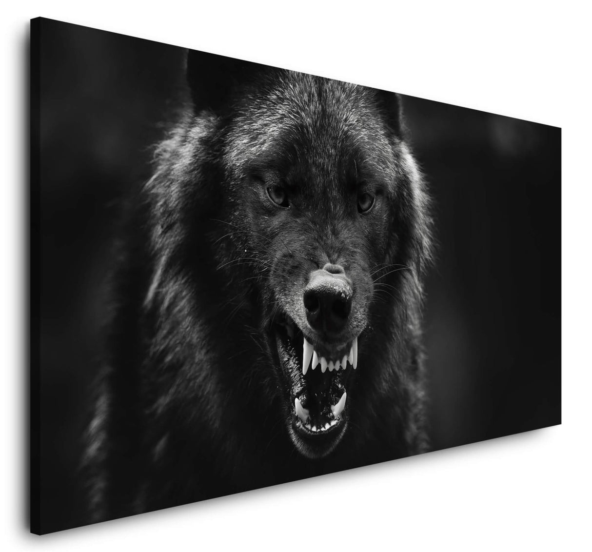 shutterstock_1662815575x0RhrGmGgRKqS_1280x1280.jpg