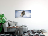 shutterstock_1663566613QfSRADHsQvkOt_1280x1280.jpg