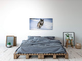 shutterstock_1663566613a0HvioFV3a6Hk_1280x1280.jpg