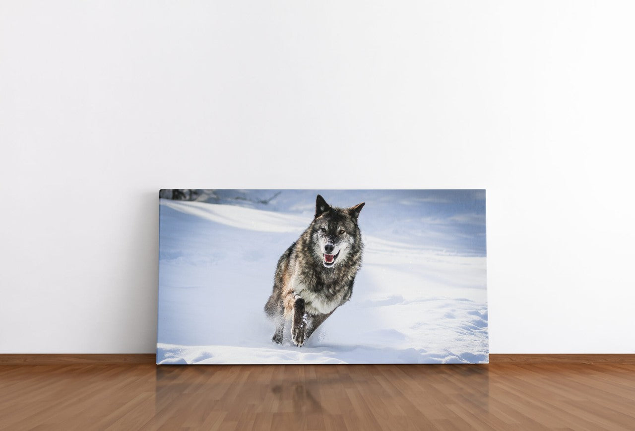 shutterstock_1663566613um4BMCjjVT7Et_1280x1280.jpg
