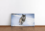 shutterstock_1663566613um4BMCjjVT7Et_1280x1280.jpg