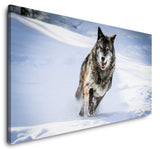 shutterstock_1663566613utAURBvS5OV3E_1280x1280.jpg