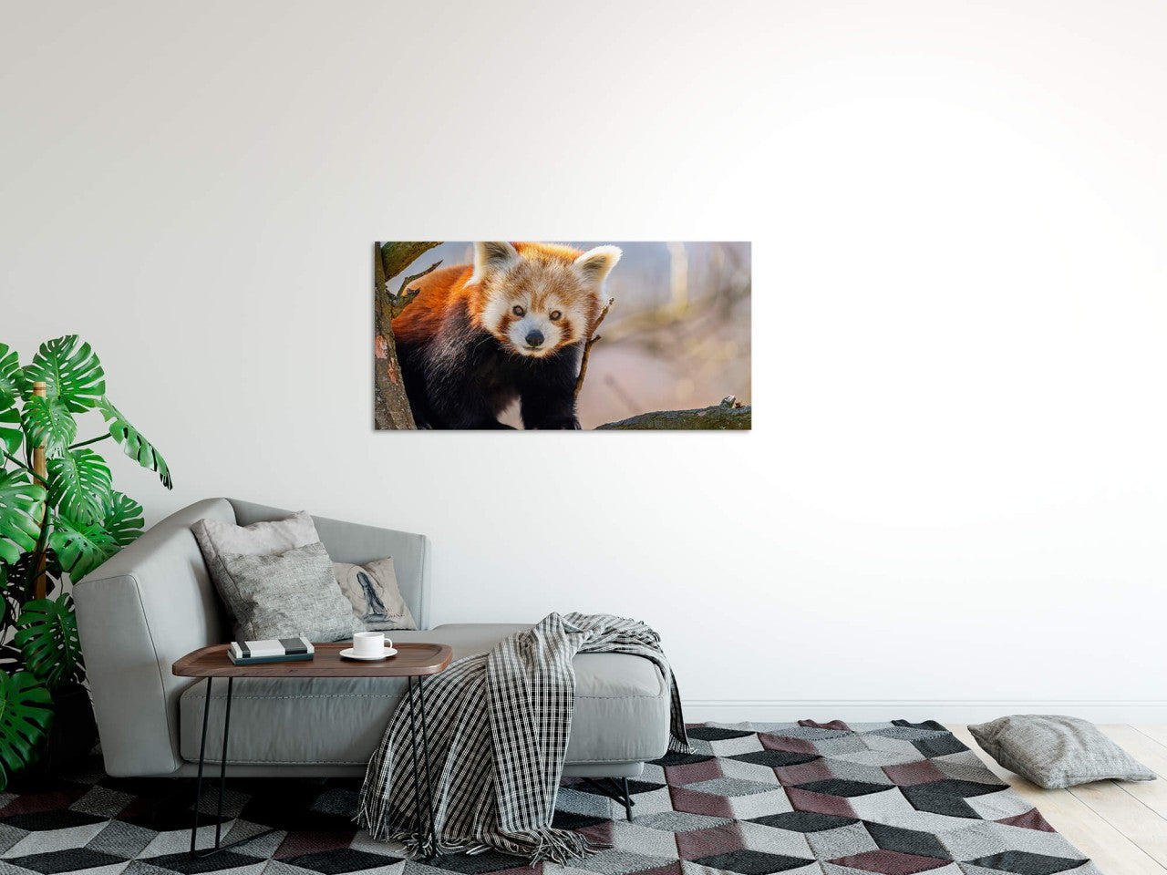 shutterstock_16827588525hRgTz84tKfDi_1280x1280.jpg