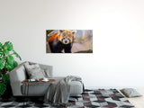 shutterstock_16827588525hRgTz84tKfDi_1280x1280.jpg