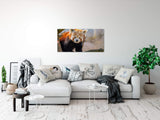 shutterstock_16827588527wji1wn4JwXMf_1280x1280.jpg