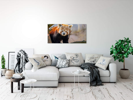shutterstock_16827588527wji1wn4JwXMf_1280x1280.jpg