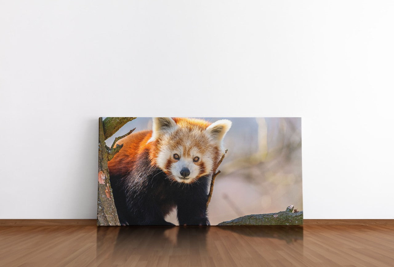 shutterstock_1682758852IGrjDocCk7ouq_1280x1280.jpg