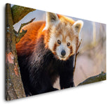 shutterstock_1682758852URtUK3j3YSGUF_1280x1280.jpg