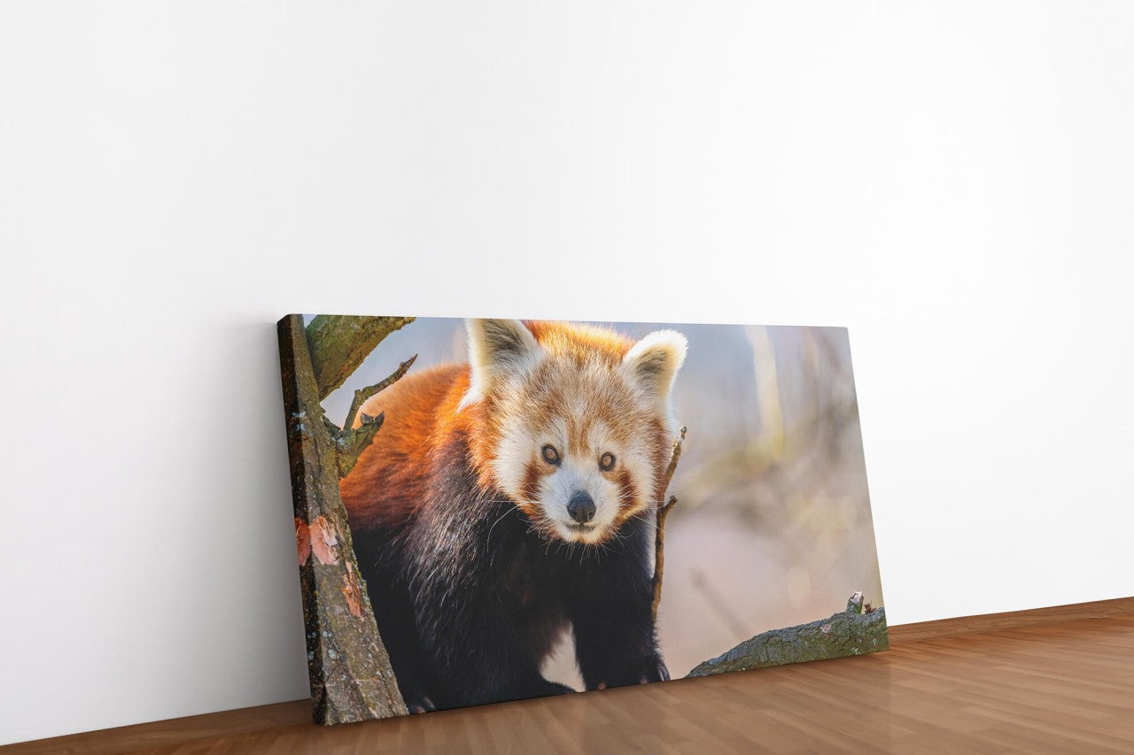 shutterstock_1682758852fE17tNCHqMKKs_1280x1280.jpg