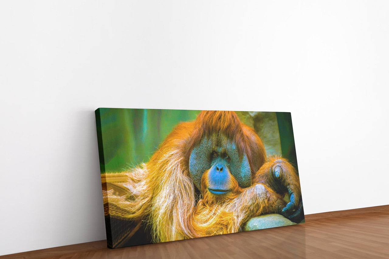 shutterstock_16883355585oS8521vUMwuY_1280x1280.jpg