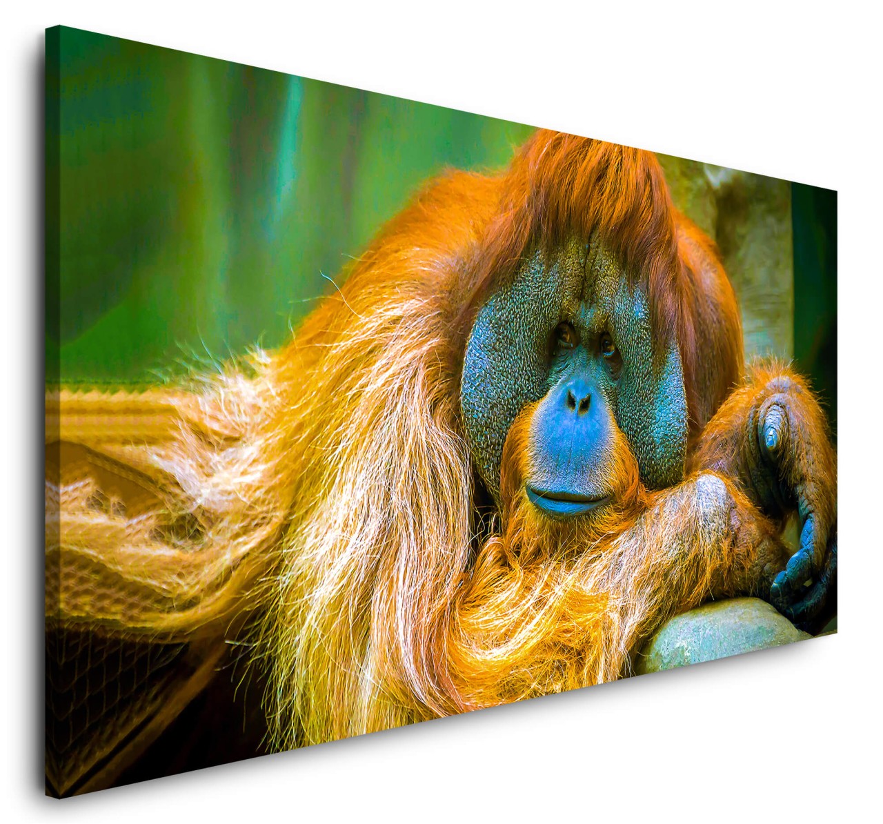 shutterstock_1688335558U1oSP5Vct2lls_1280x1280.jpg