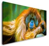 shutterstock_1688335558U1oSP5Vct2lls_1280x1280.jpg