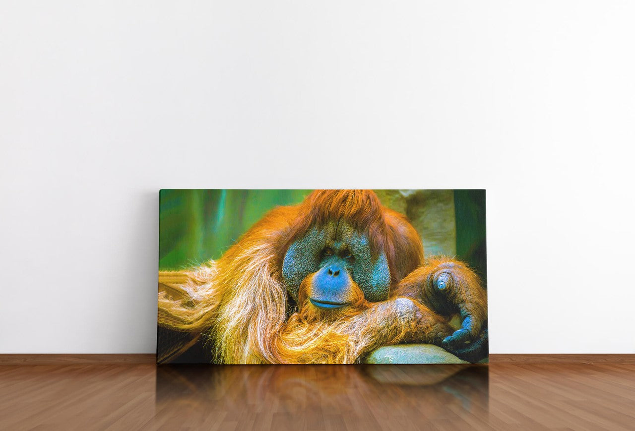 shutterstock_1688335558W12MetiB5gNh1_1280x1280.jpg