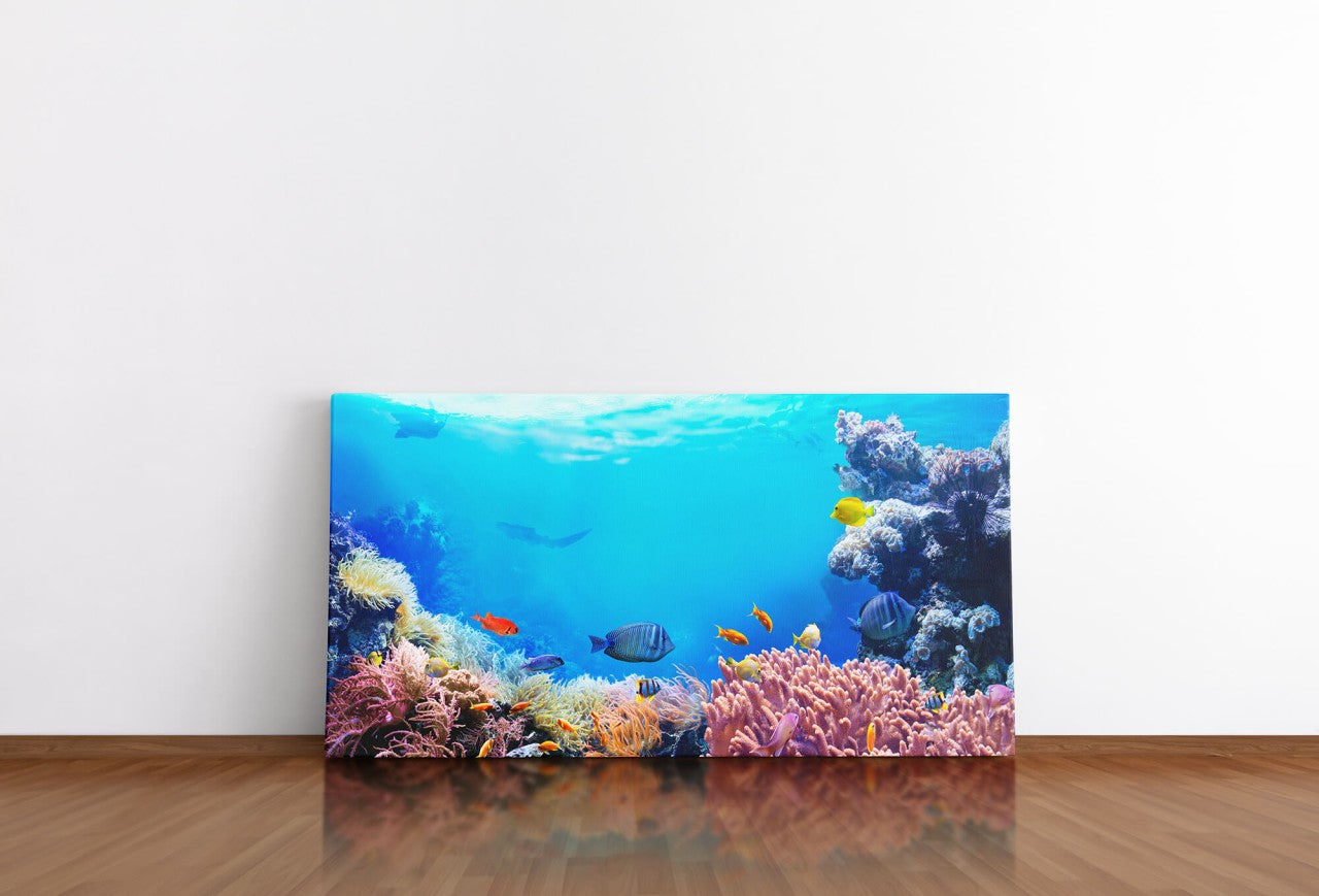 shutterstock_1691056033TYBVN7h8rWMG8_1280x1280.jpg
