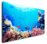 shutterstock_1691056033ZG6xBC9qFdCJL_1280x1280.jpg