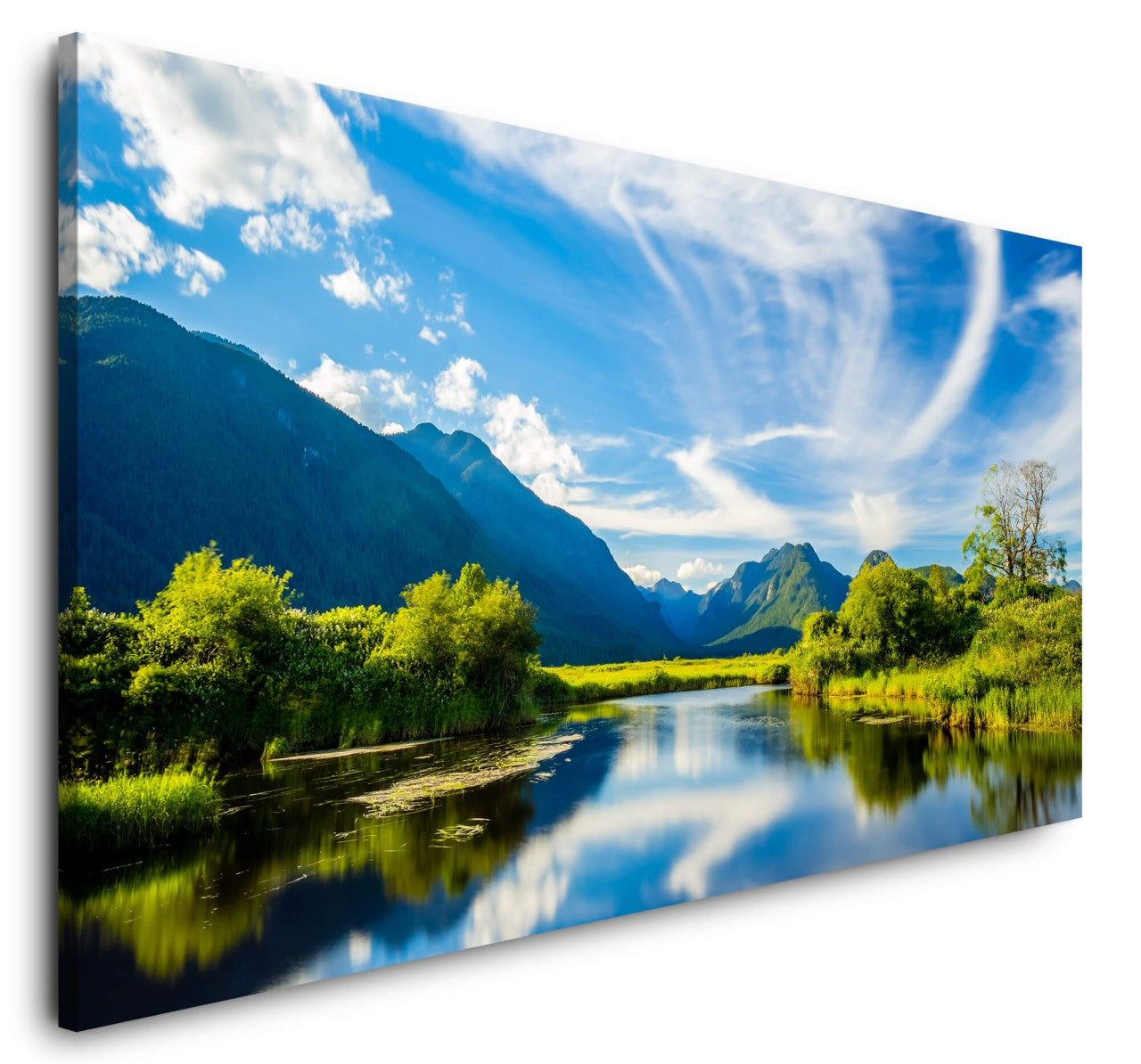 shutterstock_17062278529w4qktRWCo96B_1280x1280.jpg