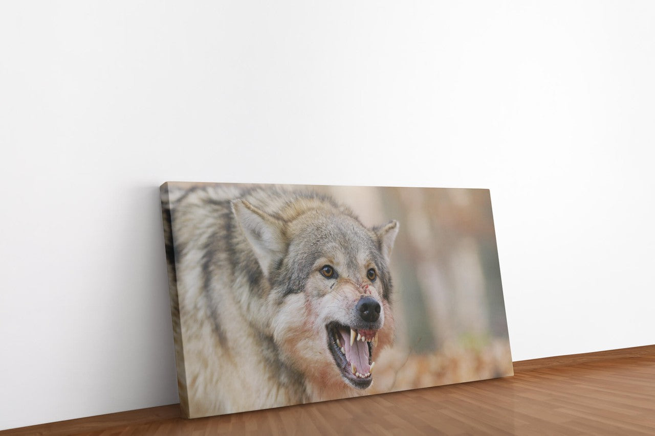 shutterstock_171093721036RlhIECS2sm8_1280x1280.jpg