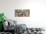 shutterstock_17109372104oWTKKoJDHiPy_1280x1280.jpg