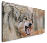 shutterstock_1710937210Zye6mfRpfyUGL_1280x1280.jpg