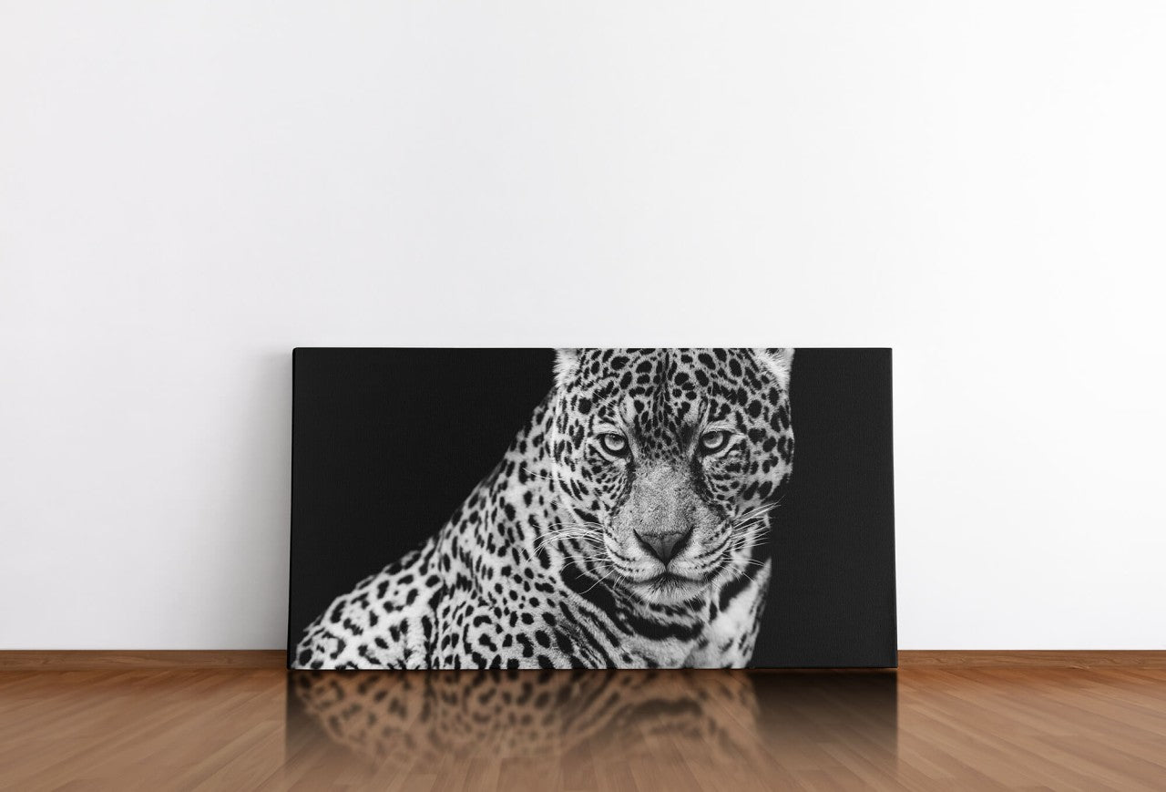 shutterstock_1716805930N8jmltiwFZ5fV_1280x1280.jpg