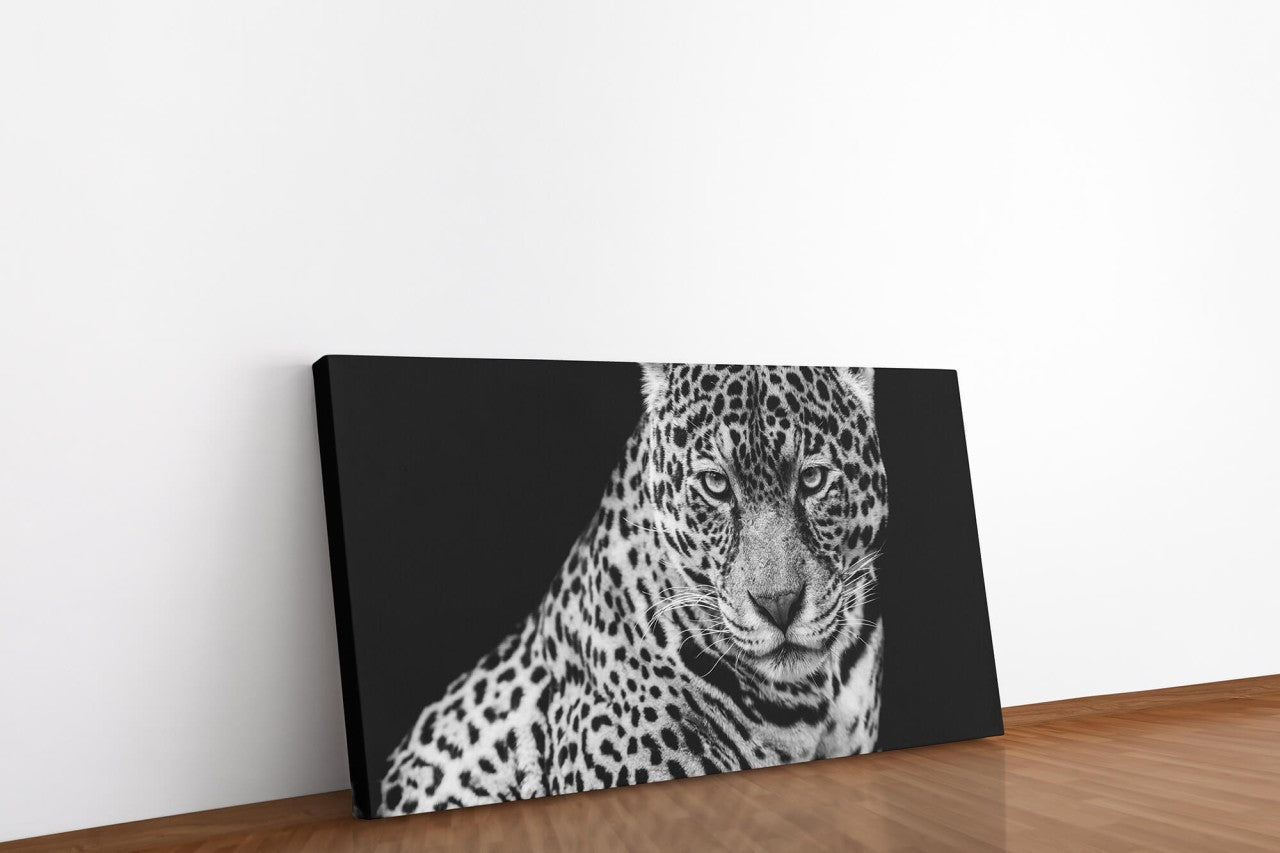shutterstock_1716805930jdZ5at5NGZOTV_1280x1280.jpg