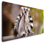 shutterstock_1719584203BZqPK6KUzr7Ey_1280x1280.jpg