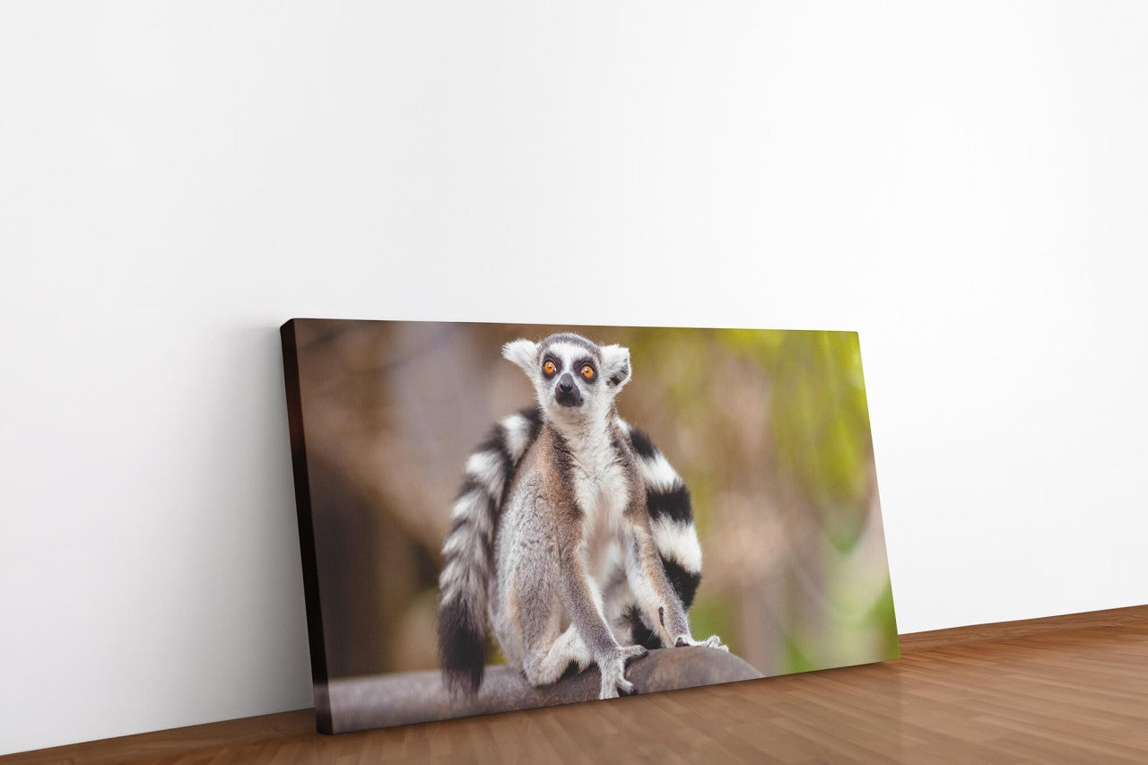 shutterstock_1719584203OD2plXw709sNZ_1280x1280.jpg