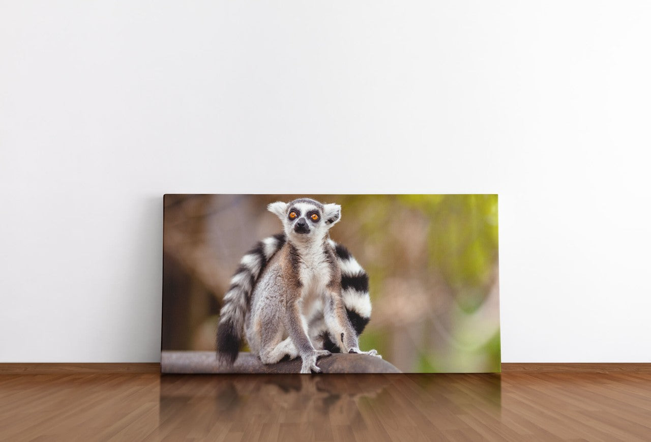 shutterstock_1719584203QukOCGtNABiag_1280x1280.jpg