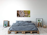 shutterstock_1719584203lNyKWywpNEAjo_1280x1280.jpg