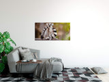 shutterstock_1719584203qSQDQ34nZp1qf_1280x1280.jpg