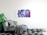 shutterstock_1724057197Q8QEyUVxF8f5T_1280x1280.jpg