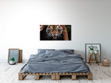 shutterstock_17243265340th3PIeEm3baK_1280x1280.jpg