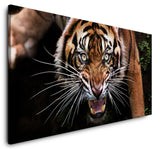 shutterstock_17243265341fj6FZPpcqsHA_1280x1280.jpg