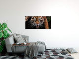 shutterstock_17243265349x5TdtmceG7hH_1280x1280.jpg