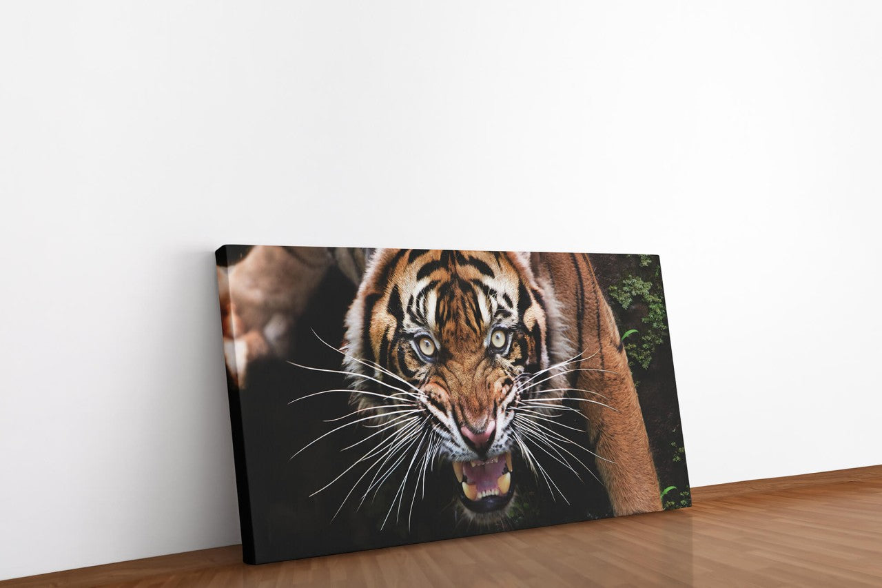 shutterstock_1724326534WAeMgwUaB5G9Z_1280x1280.jpg