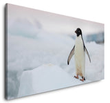 shutterstock_1726615303EozlykxYKE9n2_1280x1280.jpg